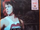 Rolling Stones  The Mick Taylor Years  6  LP s+ 4 CD s  Box set
