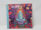 Vintage Vinyl LP Record RANDY BURNS Evening Of The Magician 1089 Prog Rock