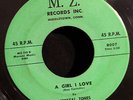 Crystal Tones-Girl I Love-Debra-Lee-MZ Recs-Middletown, CT-Private-RARE Doo Wop