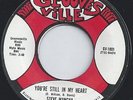 STEVE MANCHA - YOU'RE STILL IN MY HEART - SHES SO GOOD
