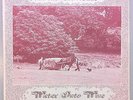 WATER INTO WINE BAND - HARVEST TIME   VERY RARE UK ACID PSYCH XIAN FOLK LP 1976