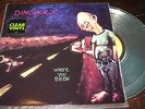 Dinosaur Jr - Where You Been LP Sire Clear Vinyl j mascis sebadoh