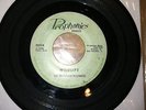 The Wildwood Playboys-Prophonics- Rare 60's Mi. Garage/Surf-VG