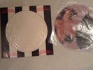 Blondie - Parallel Lines 12 inch LP Picture Disc