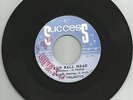 THE UNLIMITED / RUN BALL HEAD / RAGGAE ALL STAR / 7'' / EX