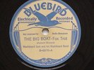 HEAR Blues WASHBOARD SAM The Big Boat/Easy Ridin'.. BLUEBIRD 78 Big Bill Broonzy