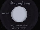 Doo Wop 45 ARABIANS Crazy Little Fever MAGNIFICENT HEAR first press black label