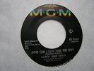 Carol And Gerri 45 Rare MGM Black Label Heartache/Find The Way (Northern Soul)