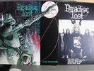 LP Made in England - PARADISE LOST - LOST PARADISE  -  in TOP  Zustand