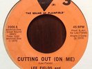 Rare Funk / Northern Soul 45 - Lee Fields 