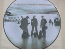 U2 All That You Can't Leave Behind PICTURE DISC LP 2000