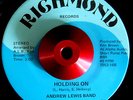 SOUL FUNK 45 ANDREW LEWIS BAND 