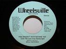 WILL HATCHER You Haven't Seen Nothing Yet 45 WHEELSVILLE Rare Modern Soul LISTEN