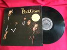 The Black Crows - Shake Your Money Maker...A1/B1 NM  Rare