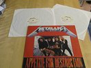 Metallica - Appetite For Destruction, 1988, Live In Köln
