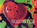 The Breeders, Last Splash,LP, Vinyl