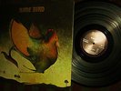 CLEAN 1969 ORIG = 1st RARE BIRD = HAMMOND ORGAN + KEYS DARK LUSH PROG Caravan