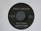 TEFTELLER Garage Rock / Soul R&B Split Shades of Sound / Wendell Western Hear It