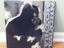 Viktor Vaughn Vaudeville Villain MF Doom Original LP Vinyl Gatefold