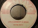 Wayne Smith Life Is A Moment In Space Killer Roots 7