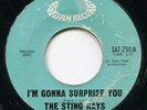 STING RAYS I'M GONNA SURPRISE YOU & LADY BE GOOD NORTHERN SOUL MOD GARAGE 45 ?