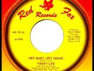 TERRY LEE & REVELERS HEY BABY, HEY SUGAR & PART III GARAGE ROCK 45 ? SWAMP RATS