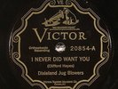 Dixieland Jug Blowers, Victor 20854, EE+
