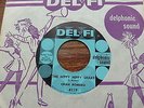 Chan Romero - The Hippy Hippy Shake 1950's USA 45 DEL-FI