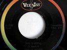 JOHN LEE HOOKER   She's Mine/A New Leaf   Vee-Jay NEW BREED BLUES ROCKER   HEAR