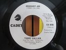 TERRY CALLIER - ORDINARY JOE