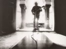 NEIL YOUNG-LP- LE NOISE- 2010- PRÄGECOvER- MINT