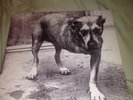 Alice In Chains 3 Legged Dog Double LP 1995 Original Pressing New