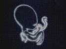 Sigur Ros - Agaetis Byrjun 2 x LP Vinyl Record () takk inni kveikur valtari