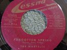 RARE THE MARTELLS 45 FORGOTTEN SPRING & VA VA VOOM CESSNA 19661 DOO WOP 7