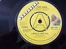 JIMMY BURNS I REALLY LOVE YOU GRAPEVINE GRP118 DEMO GOOD COND NORTHERN SOUL 7