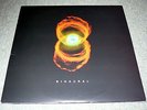 Pearl Jam Binaural Double LP Vinyl 2000