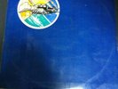 PINK FLOYD, CHILE WISH YOU WERE HERE, DIFFERENT COVER VG+