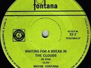 WAYNE FONTANA 