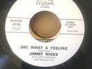 RARE NORTHERN SOUL 45' .... JIMMY RICKS ( FESTIVAL )