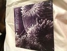 Now That You're Gone by Ryan Adams (7