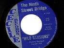 9th St. Bridge Wild Illusions/Hey Boy 1968 Houston fuzz psych monster VG++ HEAR