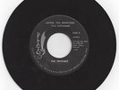 Outcasts-Loving You Sometimes / Sha-La-La-Plato 80285 Garage Fuzz