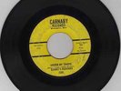 Danny's Reasons  Mn. psyche hard rock Orig. Private Pressing 