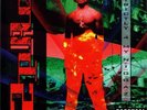Rare 2Pac / Tupac Shakur - Strictly For My N.I.G.G.A.Z LP Rap Hip Hop Very Good