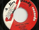 ROCKABILLY 45 by BILL HANEY and the DIXIE BUDDIES HEAR IT