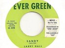 LARRY HALL 45 SANDY VG TEEN ROCKABILLY EVER GREEN 1001 RARE FIRST LABEL 1957
