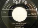 JESS WILLARD 45 Hillbilly Heaven Rare Hillbilly Bopper 1958 #SP 2