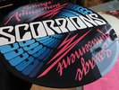SCORPIONS    - SAVAGE AMUSEMENT -  MINT LIMITED EDITION PICTURE LP / TOP ZUSTAND