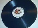 #13 AMERICAN RECORD COMPANY PLEASE COME AND PLAY IN MY YARD #030858 Blue 78