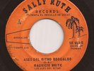 RARE Panama Funk Soul 45 MAURICIO WHITE Ases Del Ritmo Boogaloo SALLY RUTH mp3